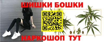 прущие крисы Новозыбков
