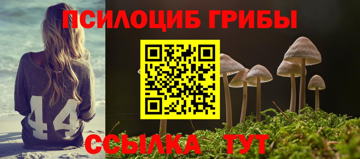Галлюциногенные грибы мухоморы Славянск-на-Кубани