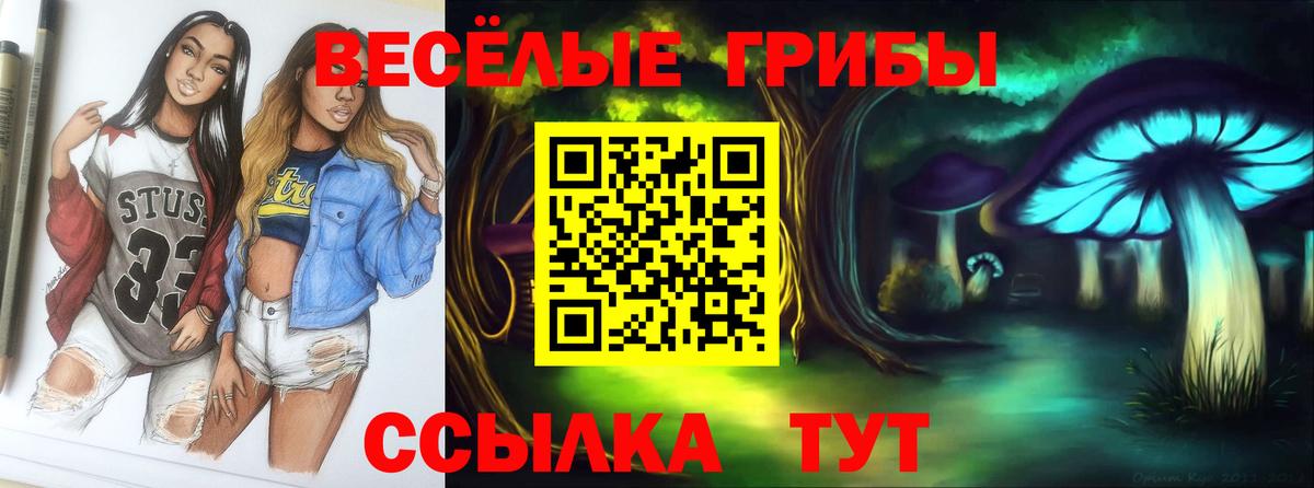 LSD-25  Кокаин  Гашиш  Гашиш  Каннабис  Сколько стоит  МЕТАМФЕТАМИН  Вход с VPN  Славянск-на-Кубани  МЕФ  